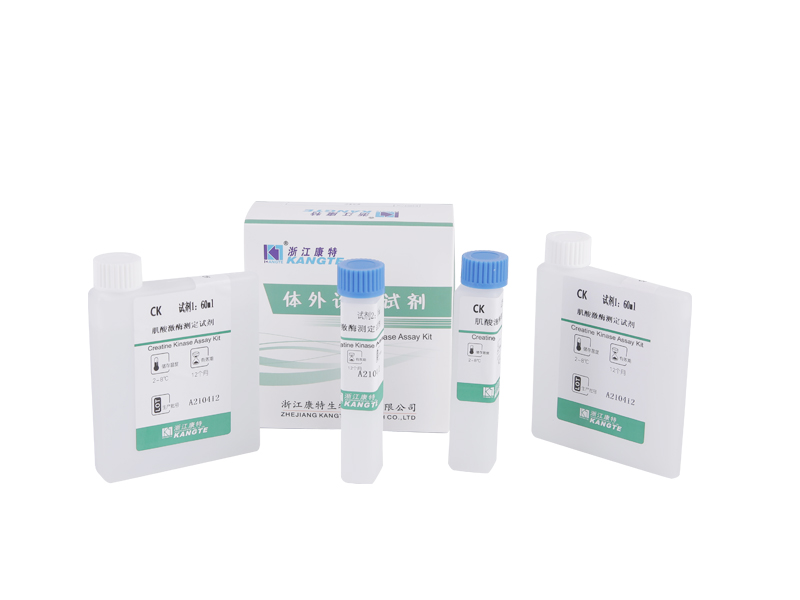 【CK】Kit de dosage de la créatine kinase (méthode du substrat de créatine au phosphate)