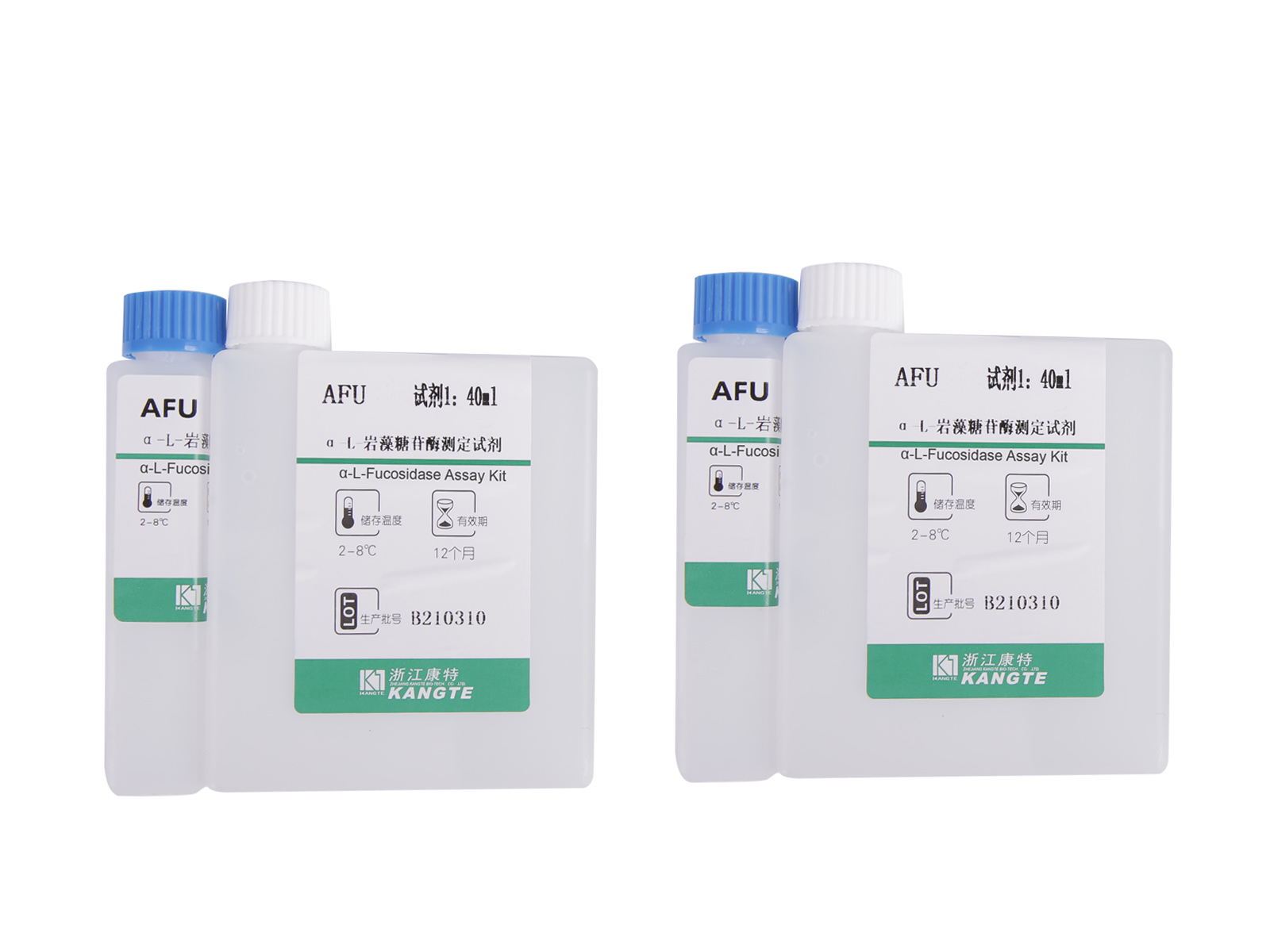 【AFU】Kit de dosage α-L-Fucosidase (méthode de surveillance continue)