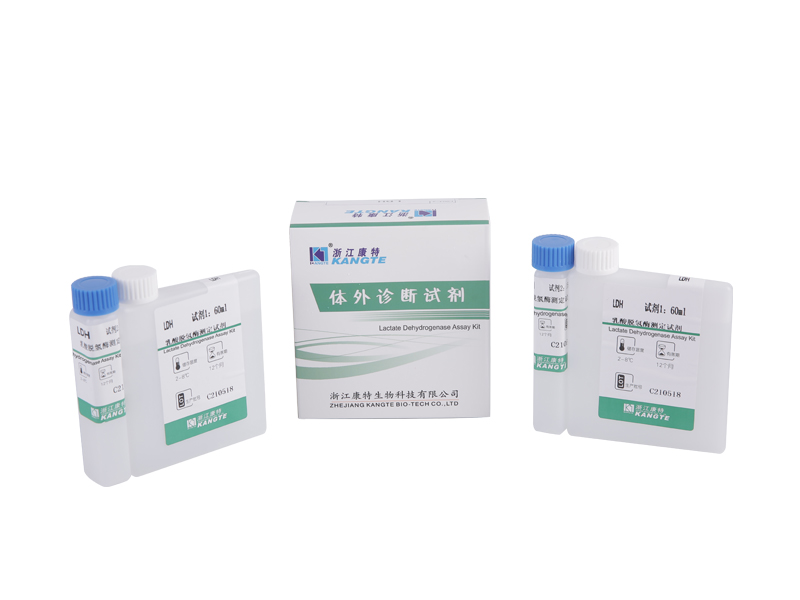 【LDH】Kit de dosage de lactate déshydrogénase (méthode du substrat lactate)
