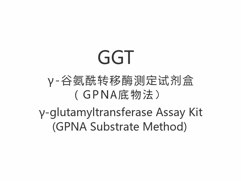 【GGT】Kit de dosage de la γ-glutamyltransférase (méthode du substrat GPNA)