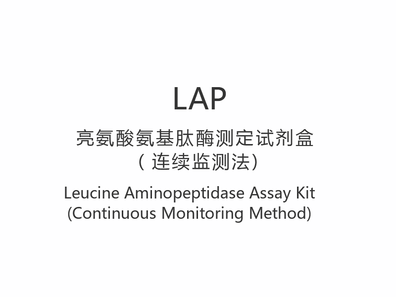 【LAP】 Kit de dosage de la leucine aminopeptidase (méthode de surveillance continue)