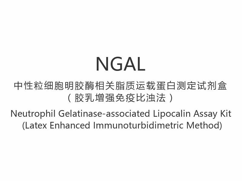 【NGAL】 Kit de dosage de lipocaline associée à la gélatinase neutrophile (méthode immunoturbidimétrique améliorée au latex)