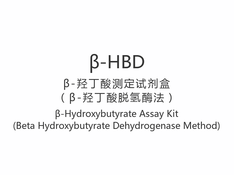 【β-HBD】Kit de dosage β-Hydroxybutyrate (méthode bêta-hydroxybutyrate déshydrogénase)