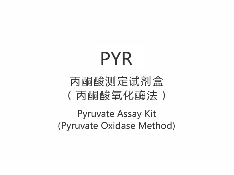 【PYR】Kit de dosage du pyruvate (méthode de la pyruvate oxydase)